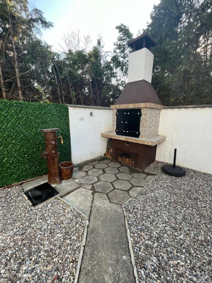 Apartman Palic Libero Dış mekan fotoğraf