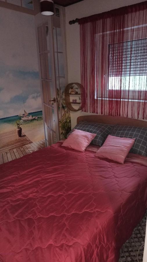 Apartman Palic Libero Dış mekan fotoğraf