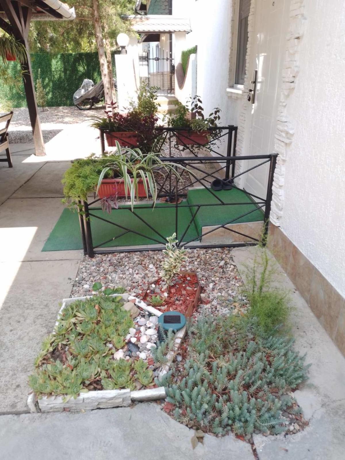 Apartman Palic Libero Dış mekan fotoğraf